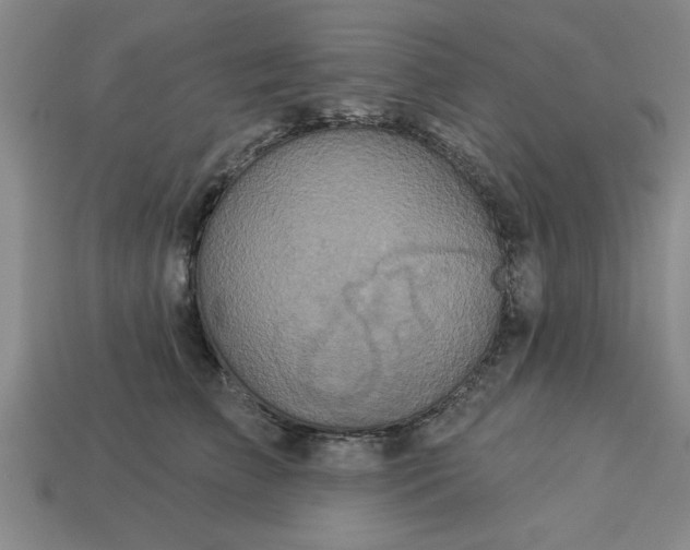 X0000113300709200910051042