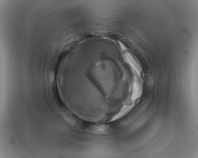 X0000113300711200910051042