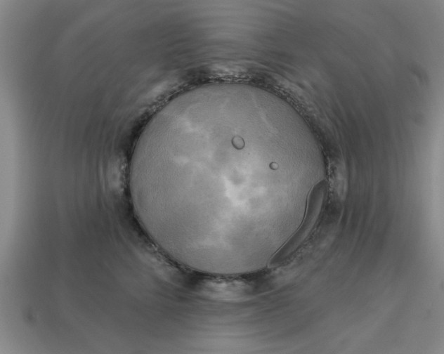 X0000113300712200910051042