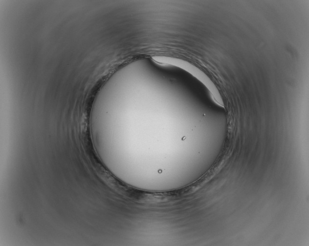 X0000113300713200910051042