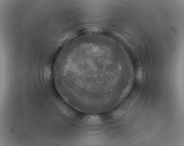 X0000113300715200910051042