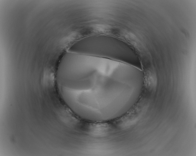 X0000113300716200910051042