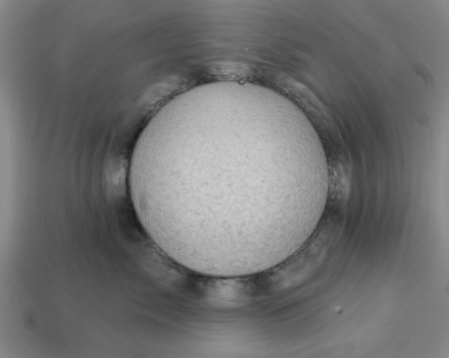 X0000113300717200910051042