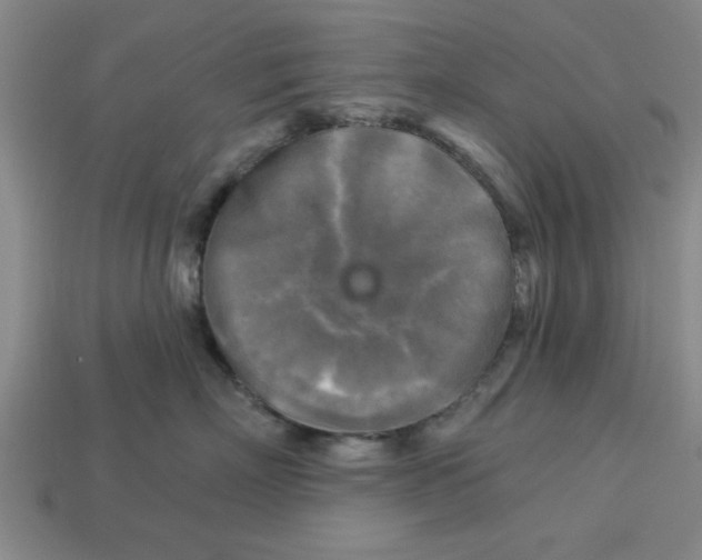 X0000113300718200910051042