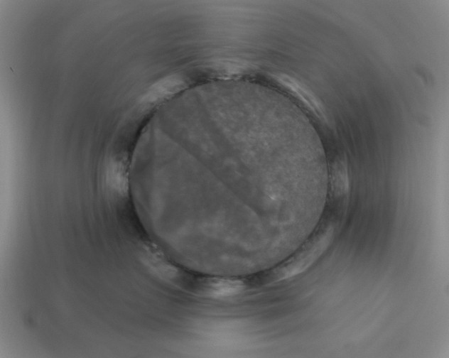 X0000113300719200910051042