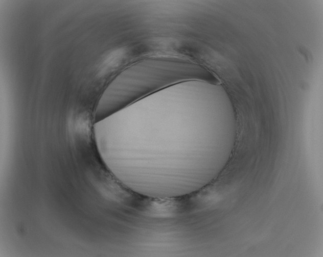 X0000113300720200910051042