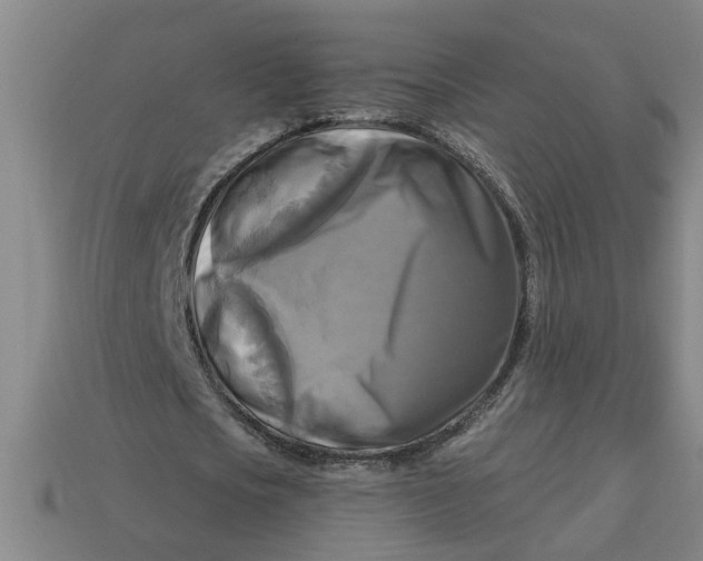 X0000113300721200910051041