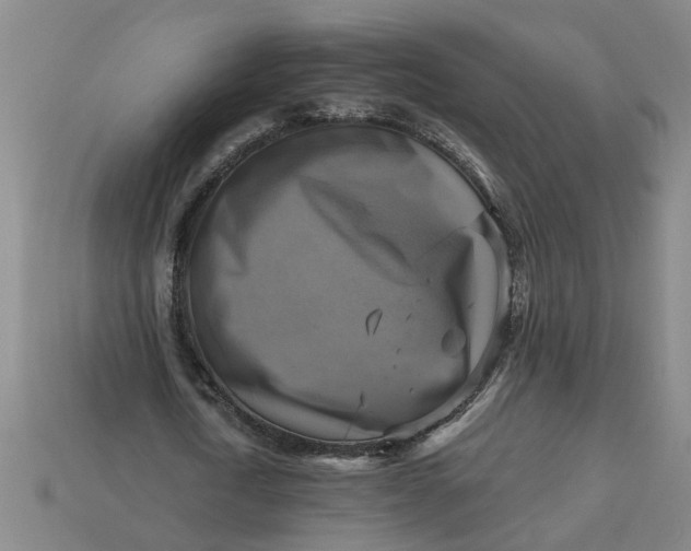 X0000113300722200910051041