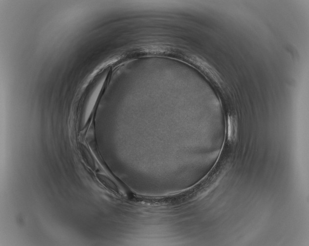 X0000113300723200910051041