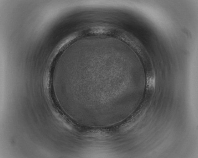 X0000113300724200910051042