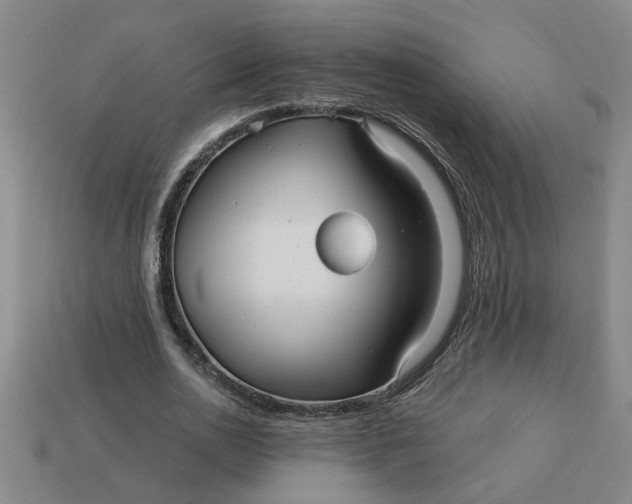 X0000113300726200910051042