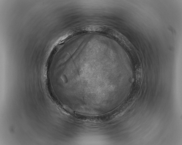 X0000113300727200910051042