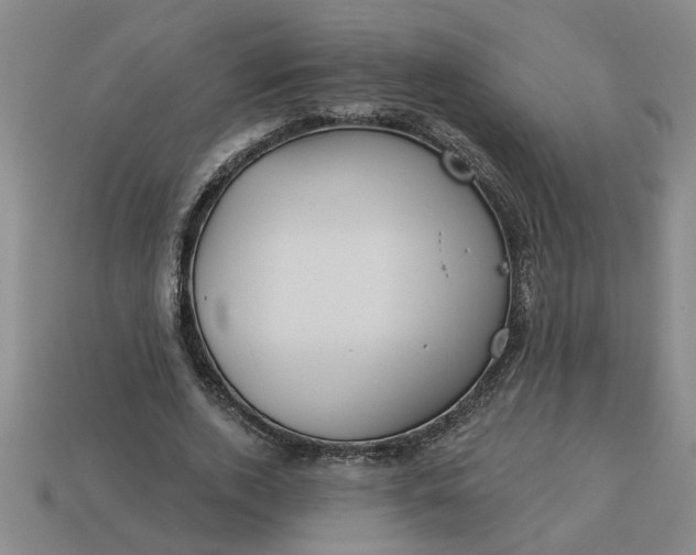 X0000113300728200910051042