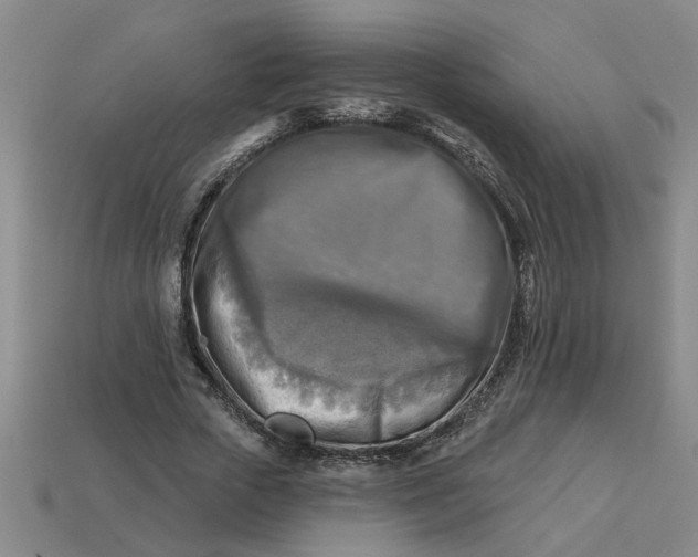 X0000113300729200910051042