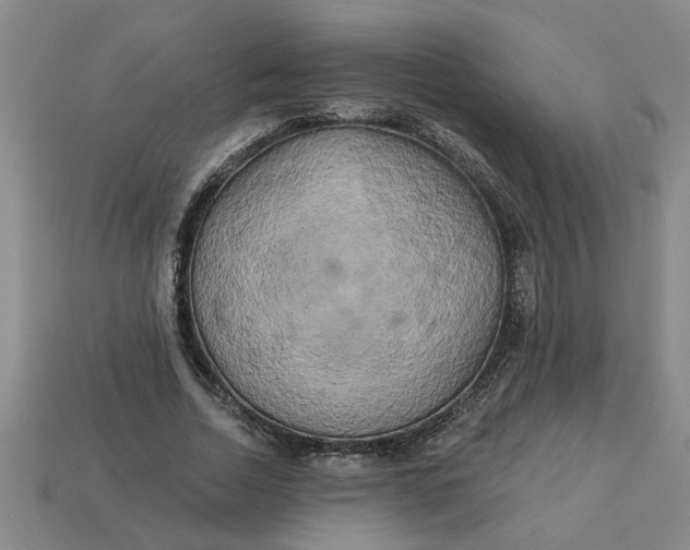 X0000113300730200910051042