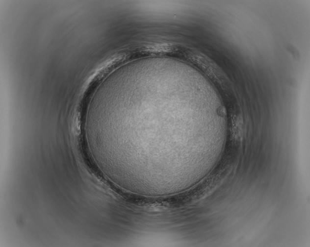 X0000113300731200910051042