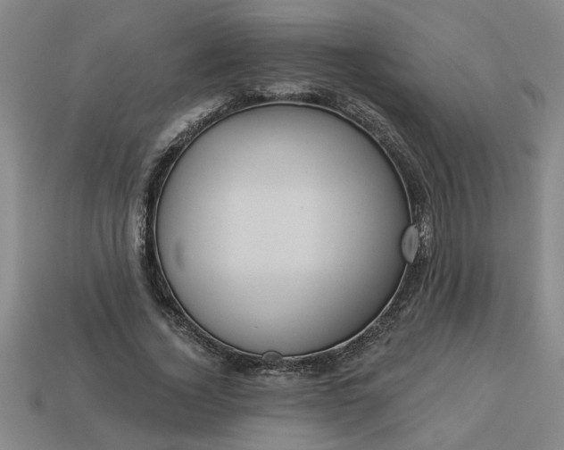 X0000113300732200910051042