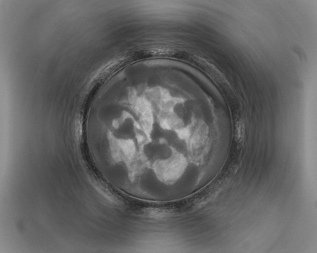 X0000113300733200910051042