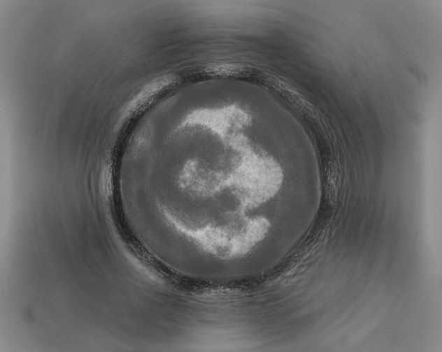 X0000113300734200910051042