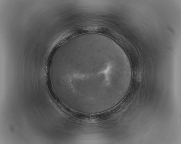 X0000113300735200910051042