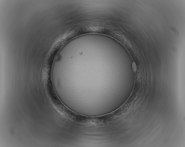 X0000113300736200910051042