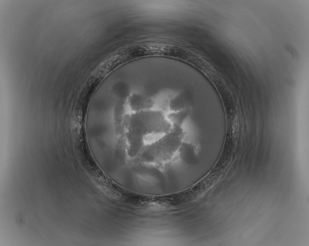 X0000113300737200910051042