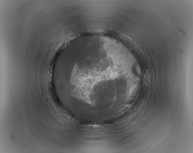 X0000113300739200910051042