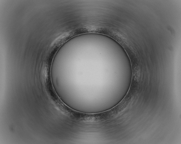 X0000113300740200910051042