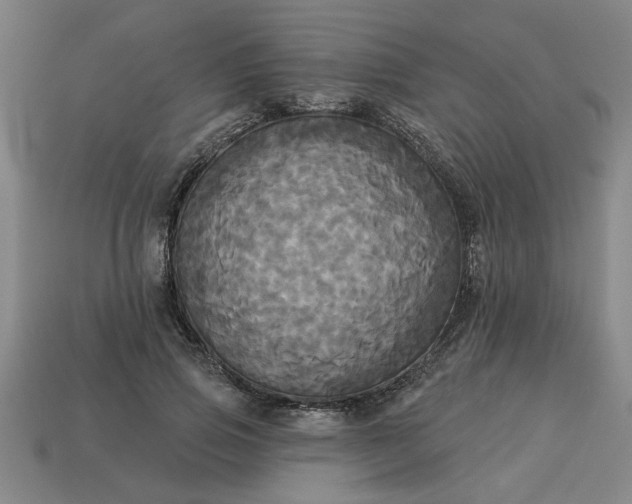 X0000113300741200910051042