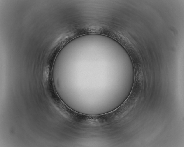 X0000113300744200910051042