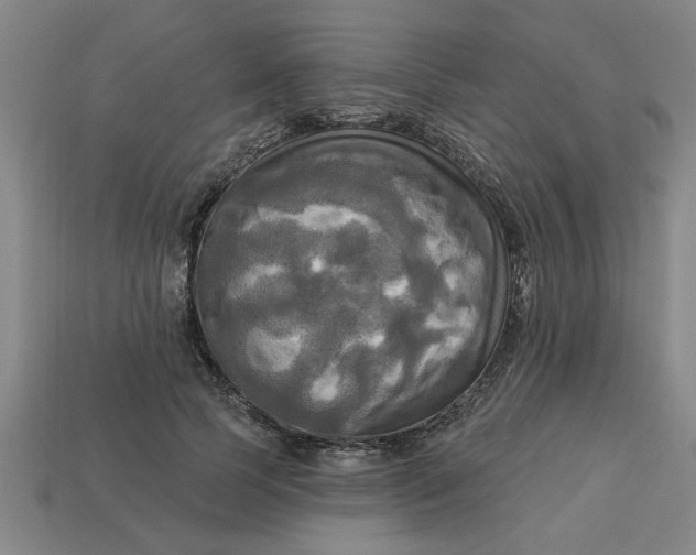 X0000113300745200910051042