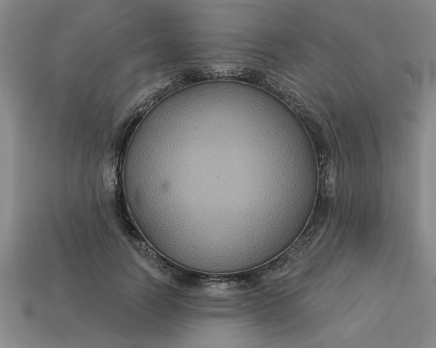 X0000113300746200910051042