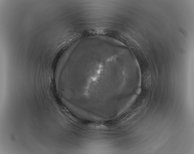 X0000113300747200910051042