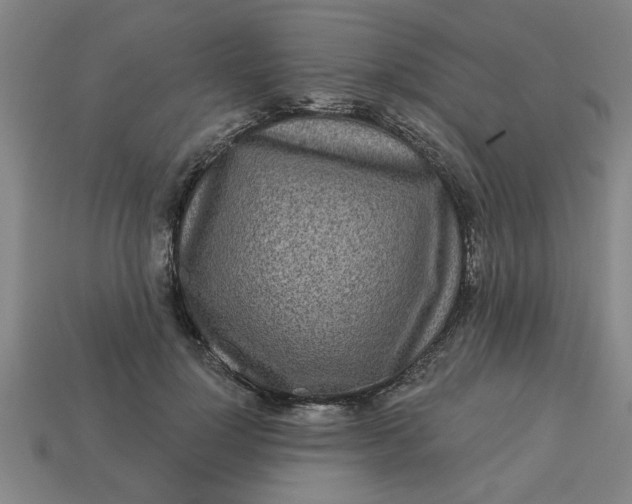 X0000113300748200910051042