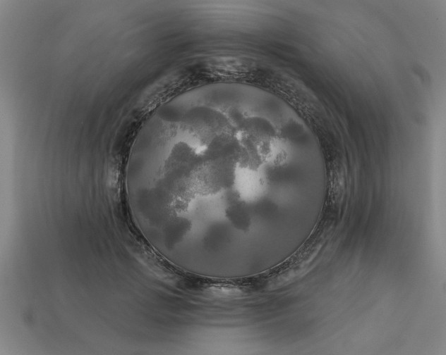 X0000113300749200910051042