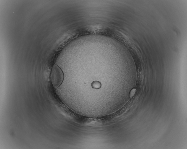 X0000113300750200910051042