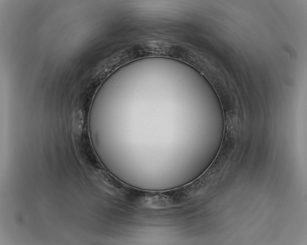 X0000113300752200910051042