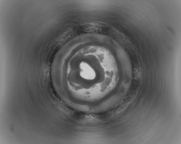 X0000113300753200910051042