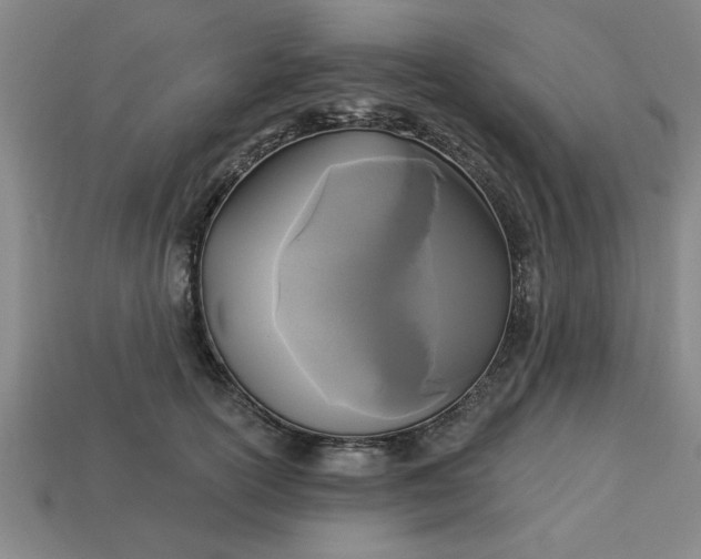 X0000113300754200910051042