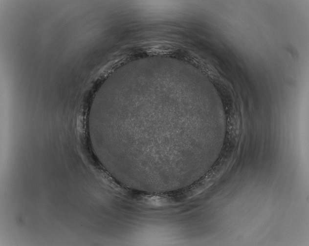 X0000113300755200910051042