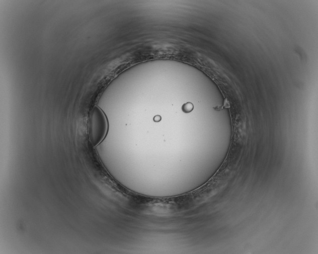 X0000113300756200910051042