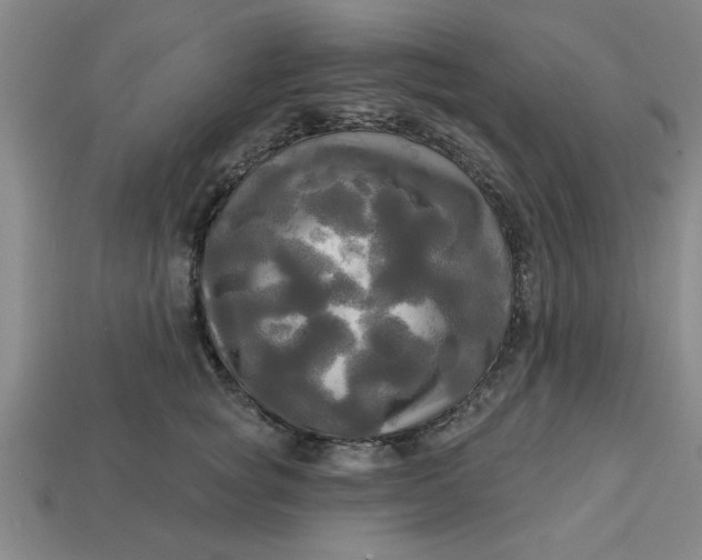 X0000113300757200910051042