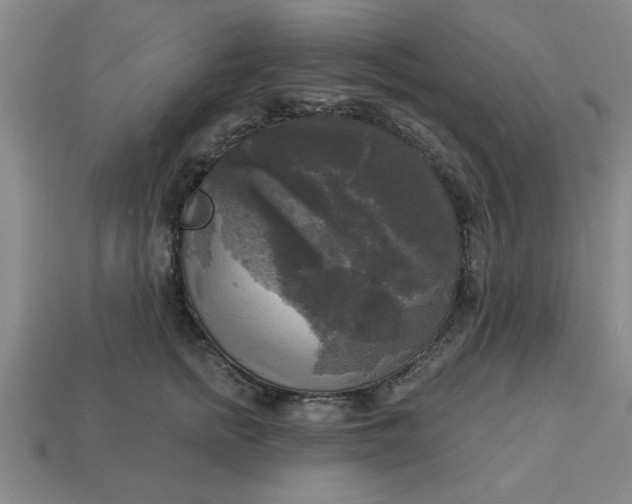 X0000113300758200910051042