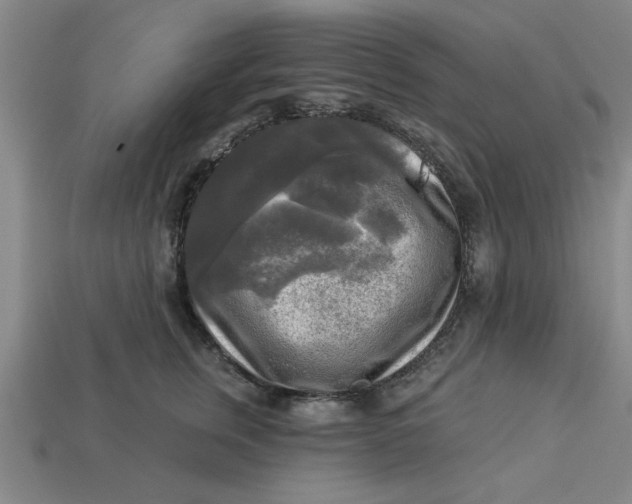 X0000113300759200910051042