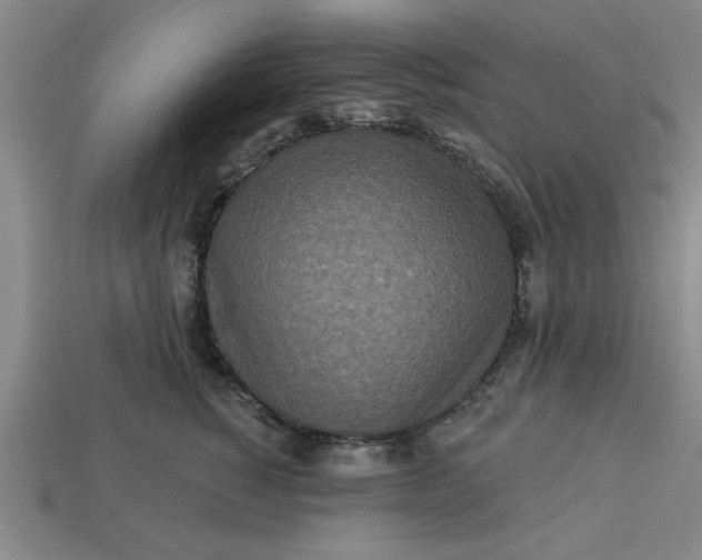 X0000113300760200910051042