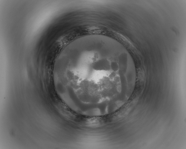 X0000113300761200910051042