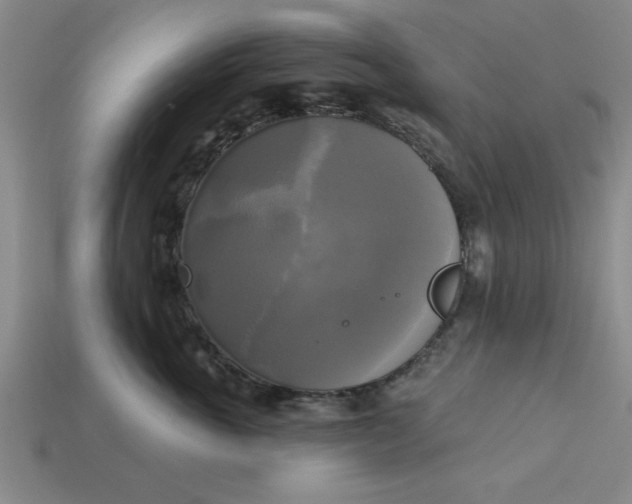 X0000113300763200910051042