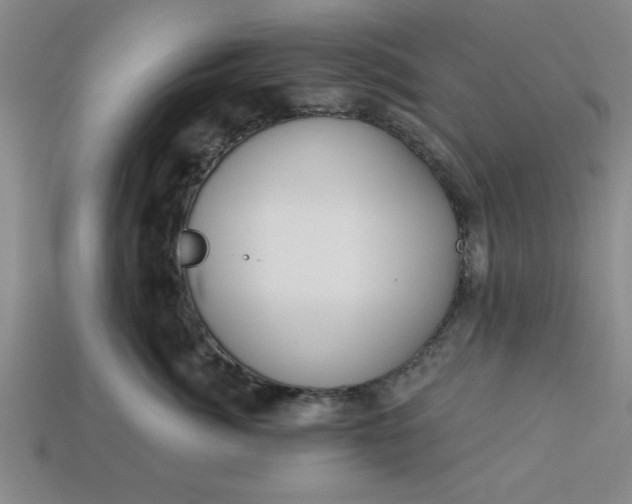 X0000113300764200910051042