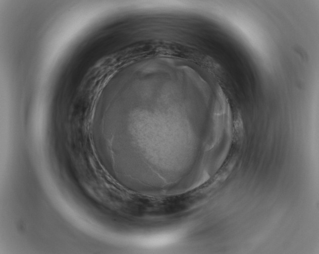 X0000113300765200910051042