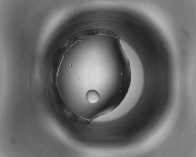 X0000113300766200910051042